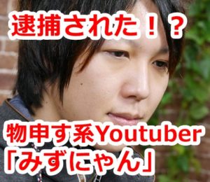 みずにゃん,コレコレ 裁判,逮捕 理由,年収 みずにゃん,コレコレ 裁判,逮捕 理由,年収
